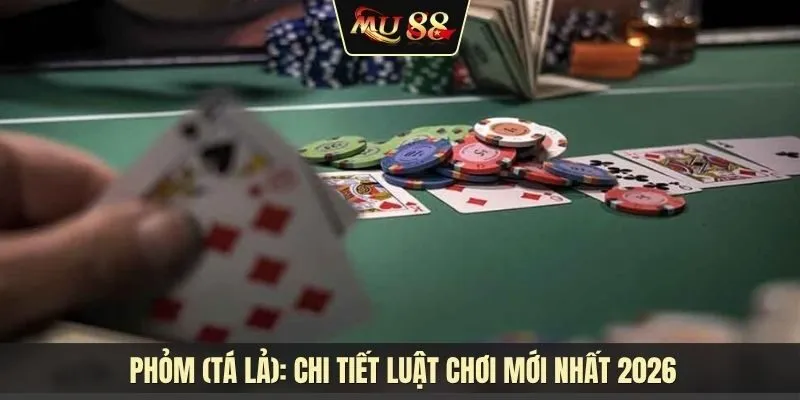 Phỏm (Tá lả): Chi tiết luật chơi và bí quyết đấu trí từ những tay chơi lão luyện
