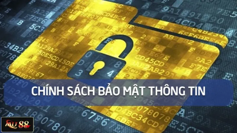 Đôi nét về chính sách bảo mật của nhà cái trực tuyến Đôi nét về chính sách bảo mật của nhà cái trực tuyến
